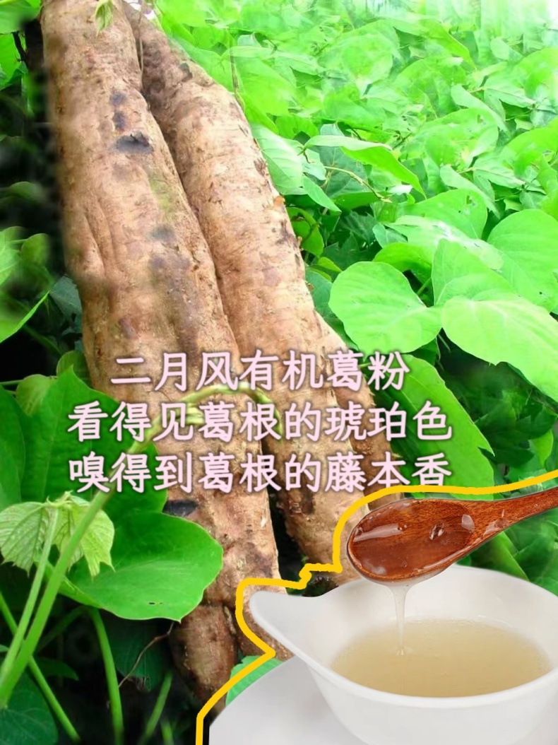 二月風(fēng)有機葛粉，看得見葛根的琥珀色，嗅得到葛根的藤本香_790.jpg