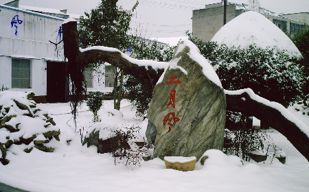 二月風(fēng)致老友：一碗葛根粉的牽掛，農(nóng)博會(huì)上的重逢之約二月風(fēng)盼老友：農(nóng)博會(huì)上，再續(xù)葛粉情緣