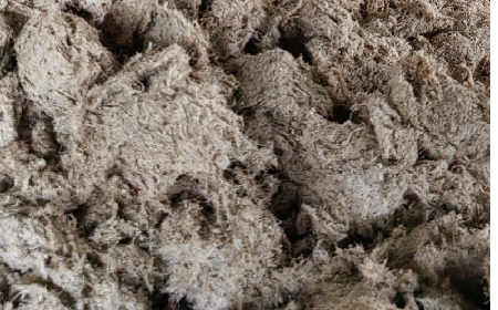 深入大洪山，只為一口純凈 -二月風(fēng)今冬野生葛根收購(gòu)紀(jì)實(shí)